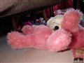 20200726_144204.jpg