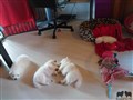 20200726_174149.jpg