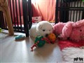 20200727_162916.jpg