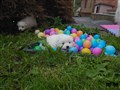 20200727_175245.jpg