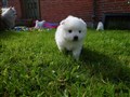 20200728_100213.jpg