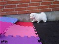 20200728_100346.jpg