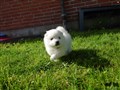20200728_100405.jpg