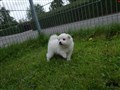 20200728_125052.jpg