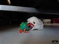 20200728_130632.jpg