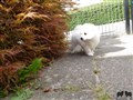 20200728_165447.jpg