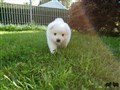 20200729_083952.jpg