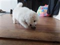 20200730_082126.jpg