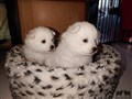 20200730_100146.jpg