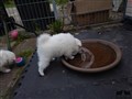 20200730_143734.jpg