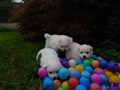 20200730_161933.jpg