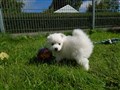20200731_111326.jpg