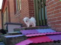 20200731_131512.jpg