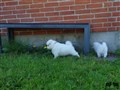 20200731_131809.jpg