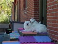 20200731_161234.jpg