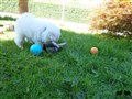 20200731_161329.jpg