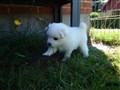 20200731_161516.jpg