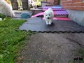 20200801_122254.jpg