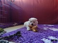 20200801_123211.jpg