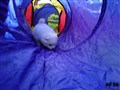 20200801_144015.jpg