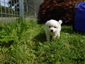 20200801_144147.jpg
