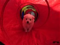 20200801_144212.jpg