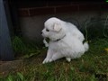 20200801_150928.jpg
