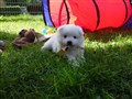 20200801_162929.jpg