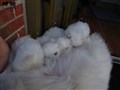 20200801_164335.jpg