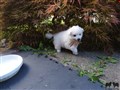 20200801_164930.jpg