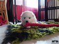 20200801_194043.jpg