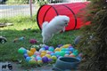 IMG_6811.JPG