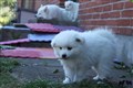 IMG_7180a.JPG