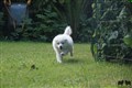 IMG_9343.JPG
