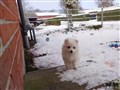20221217_111953.JPG
