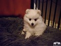 20221220_084044.JPG