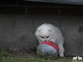 IMG_75023.JPG