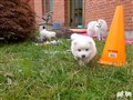 20230629_085252.JPG