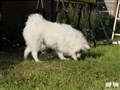 IMG_18820.JPG