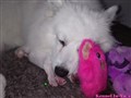 20260609_071313352.JPG